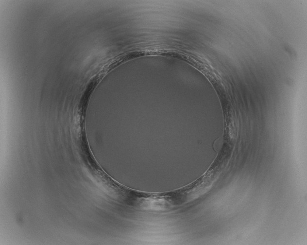 X0000115350366200911171337