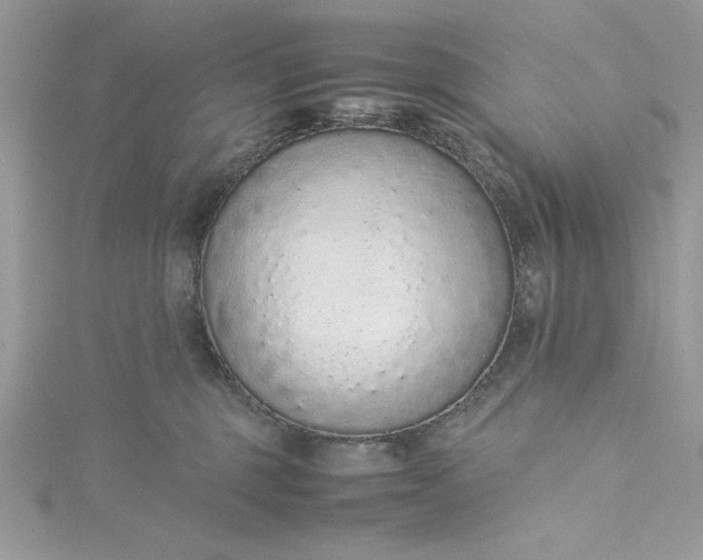 X0000115350375200911171337