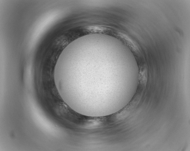 X0000115350381200911171337