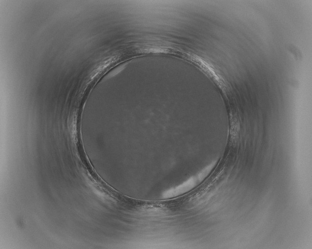X0000115350386200911171336