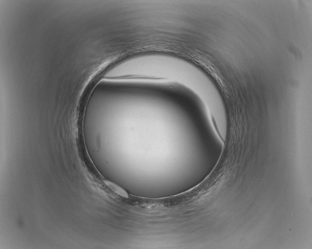 X0000115350395200911171336