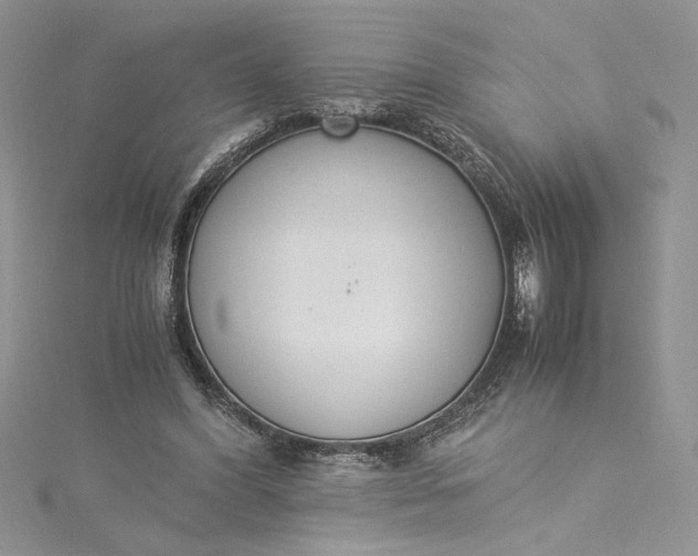 X0000115350396200911171336