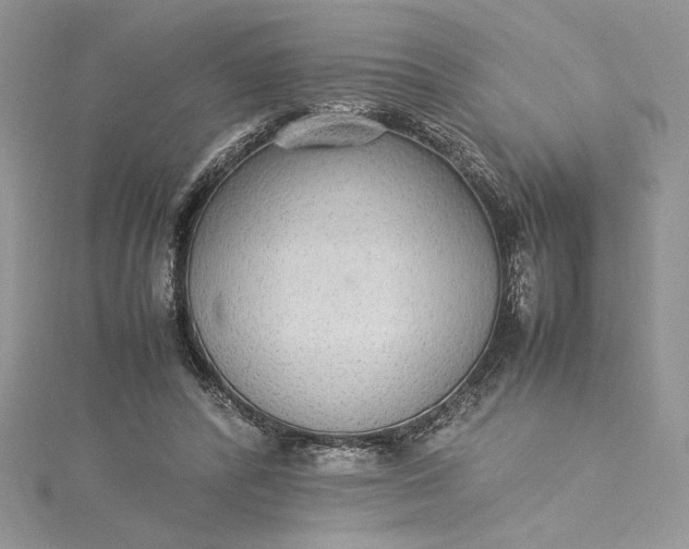 X0000115350400200911171336