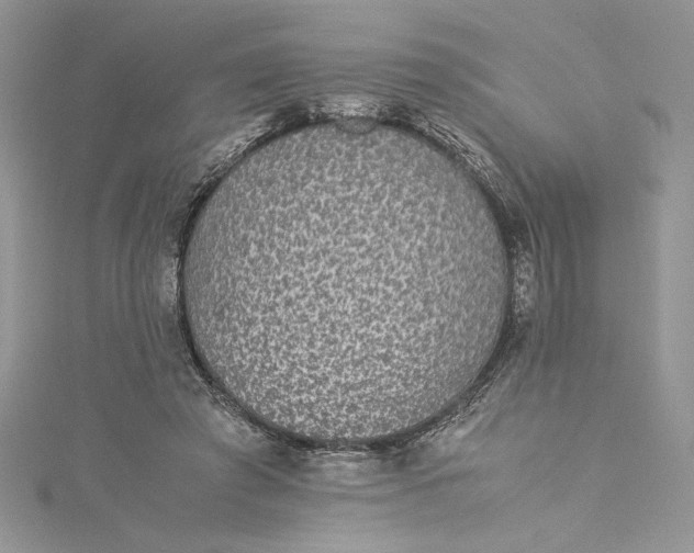 X0000115350401200911171336