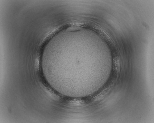 X0000115350404200911171336