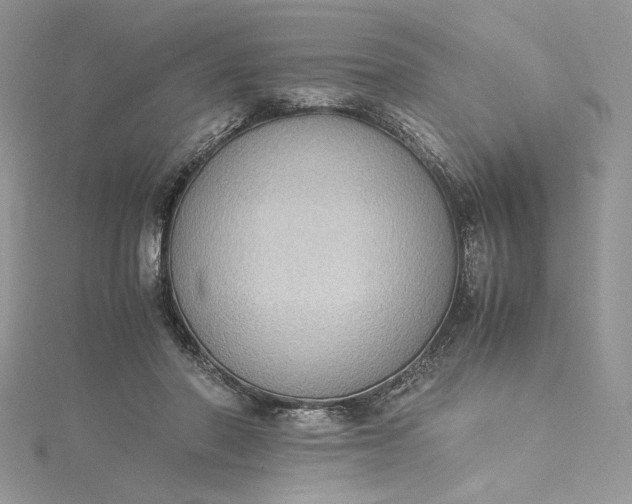 X0000115350406200911171336