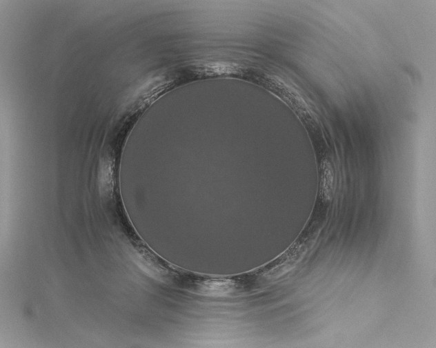 X0000115350410200911171336
