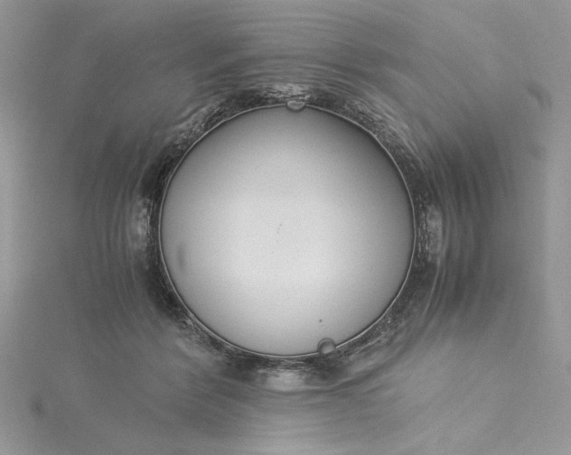 X0000115350412200911171336
