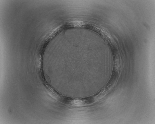X0000115350413200911171336