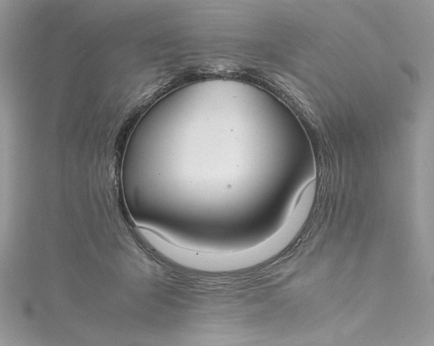 X0000115350415200911171336