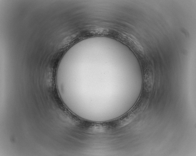 X0000115350416200911171336