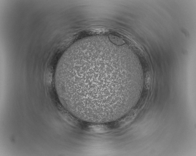 X0000115350417200911171336