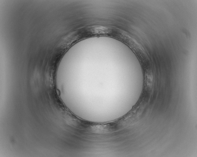 X0000115350422200911171336