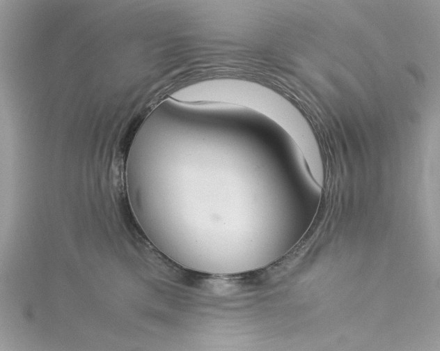 X0000115350425200911171336
