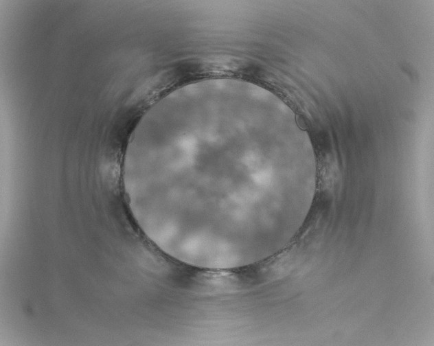 X0000115350427200911171336