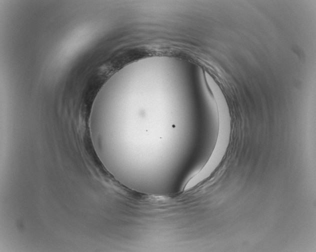 X0000115350429200911171336