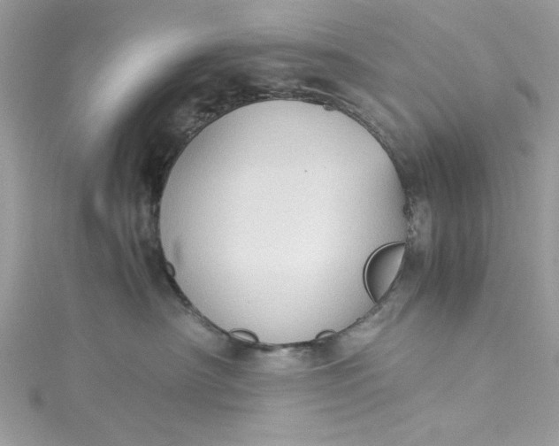 X0000115350430200911171336