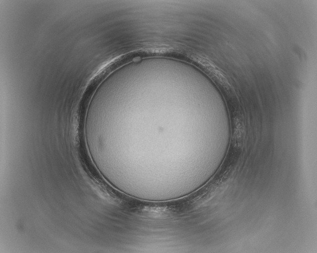 X0000115350440200911171335
