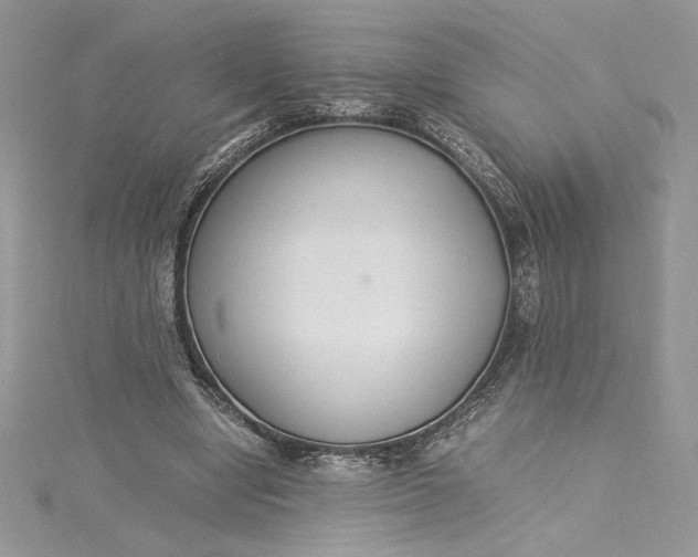 X0000115350442200911171335