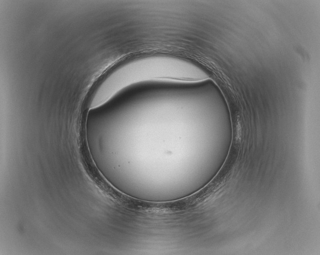 X0000115350444200911171335
