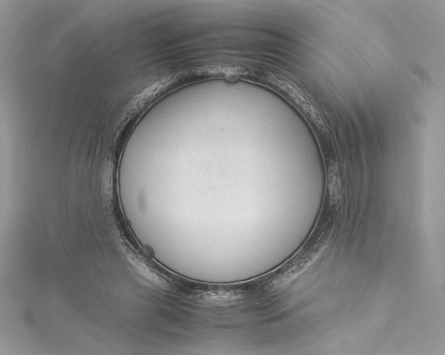 X0000115350445200911171335