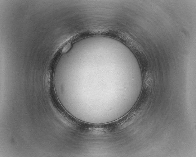 X0000115350448200911171335