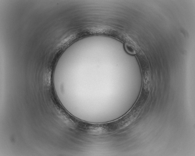 X0000115350454200911171335