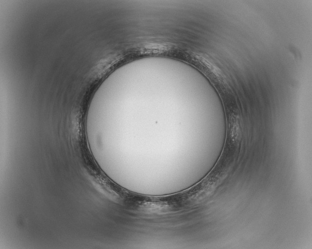 X0000115350455200911171335