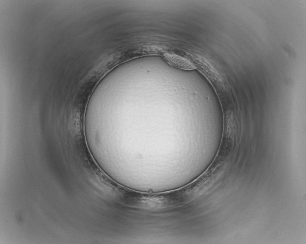 X0000115350457200911171335