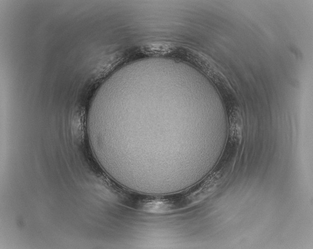 X0000115350460200911171335