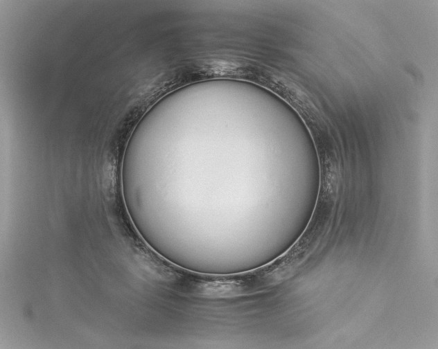 X0000115350461200911171335