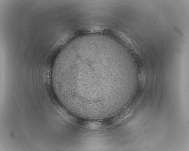 X0000115350462200911171335