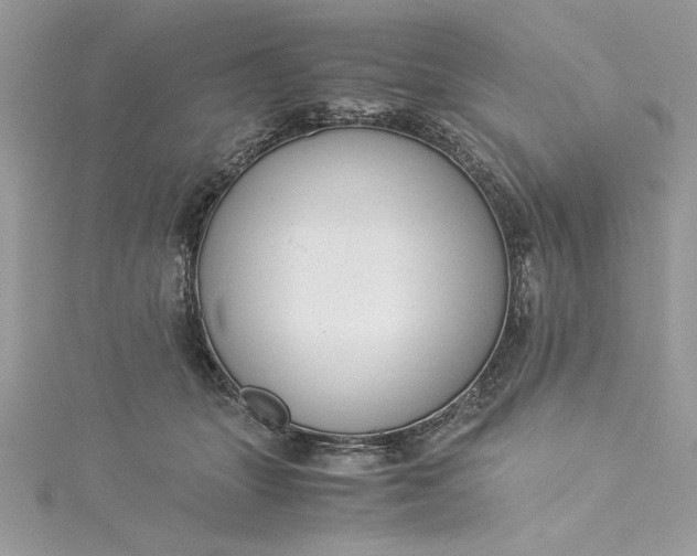 X0000115350463200911171335