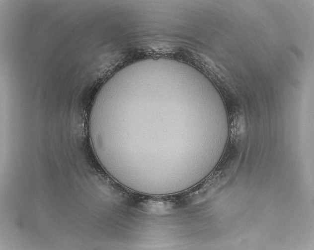 X0000115350464200911171335