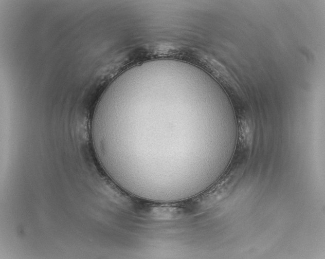 X0000115350470200911171335