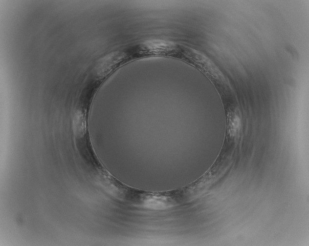 X0000115350471200911171335