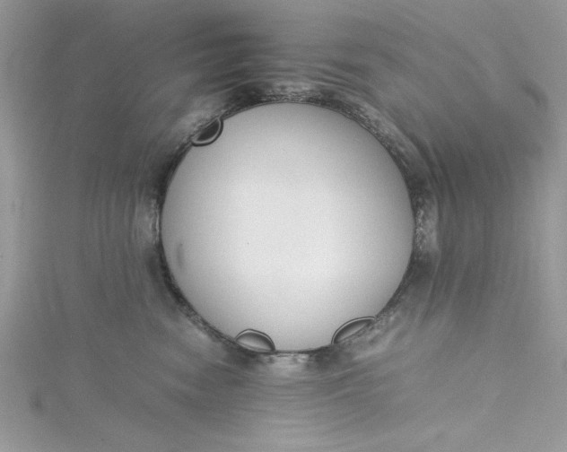 X0000115350474200911171336