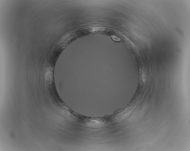 X0000115350475200911171336