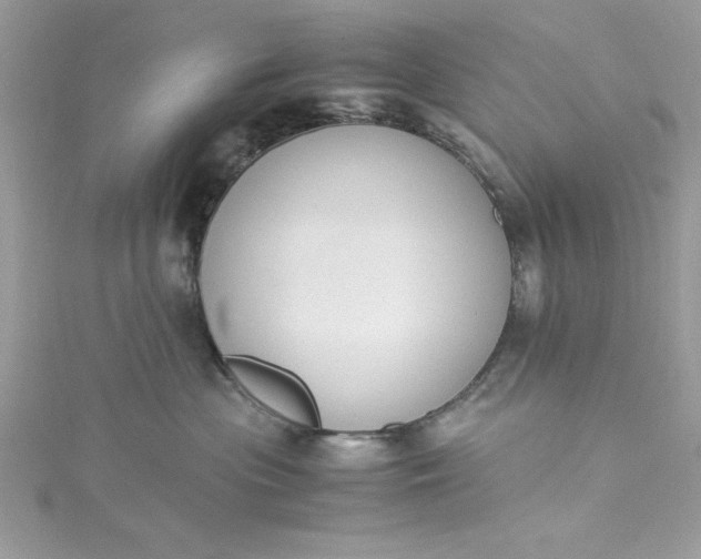 X0000115350477200911171336