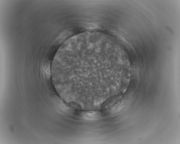 X0000115350479200911171336