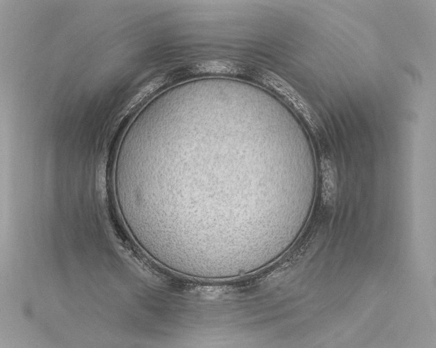 X0000115350482200911171335