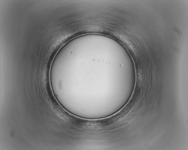 X0000115350487200911171335