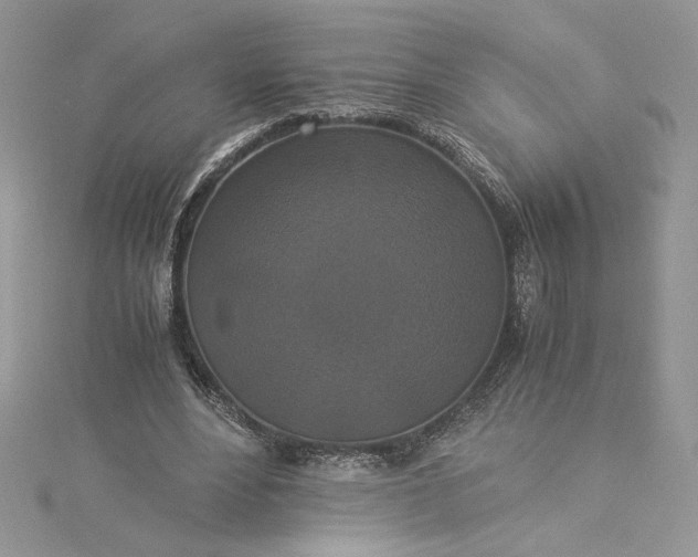 X0000115350488200911171335