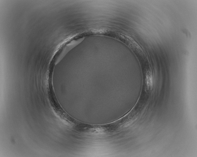 X0000115350492200911171335