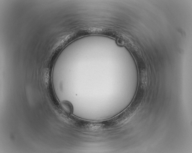 X0000115350495200911171335