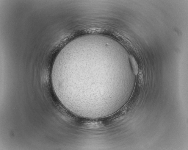X0000115350499200911171335