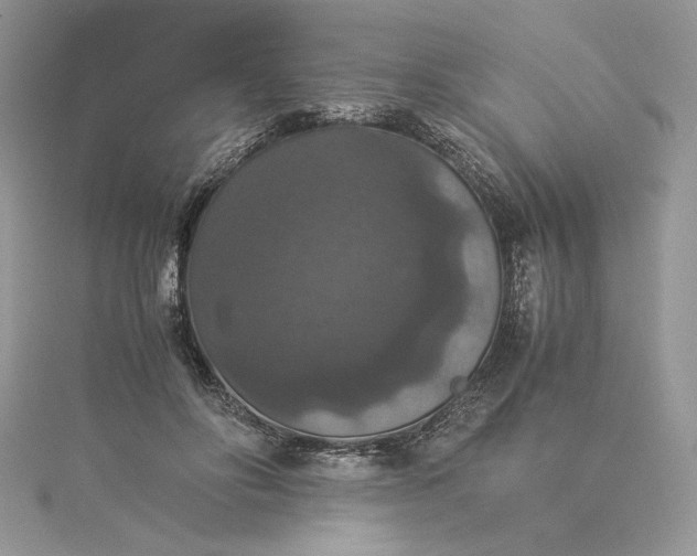 X0000115350502200911171335
