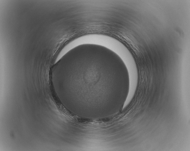X0000115350504200911171335