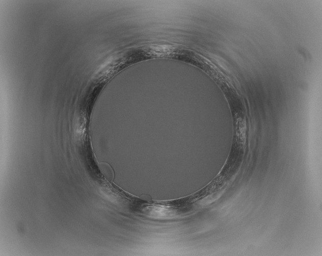 X0000115350507200911171335