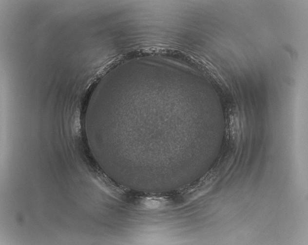 X0000115350508200911171335